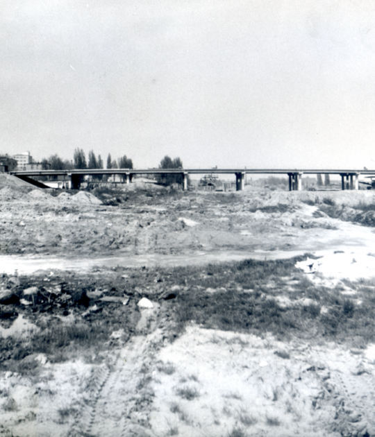 Wiadukt Trasy Hetmańskiej nad Dolną Wildą