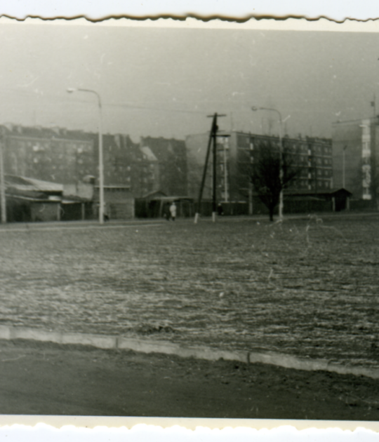 Chałupy i domy mieszkalne na Dolnej Wildzie