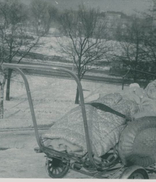 Wiesław Sommerfeld w wózku