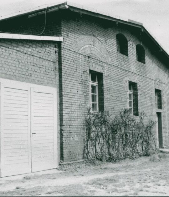 Budynki przy Dolnej Wildzie 87